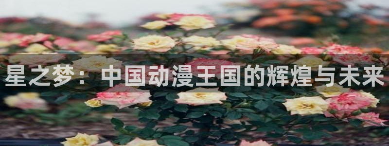 91动漫版：星之梦：中国动漫王国的辉煌与未来