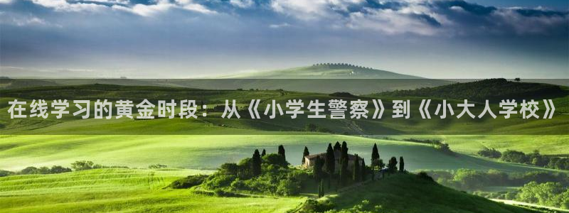 91动漫视频下载：在线学习的黄金时段：从《小学生警察》到《小大人学校》