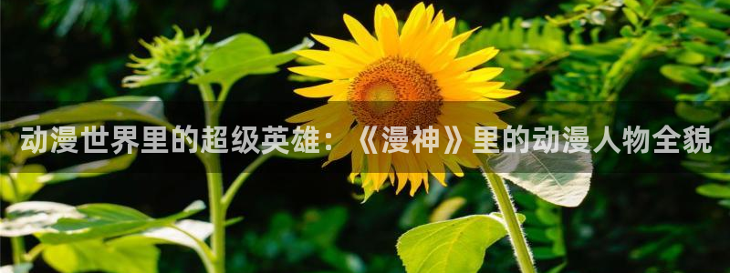 黄91动漫：动漫世界里的超级英雄：《漫神》里的动漫人物全貌