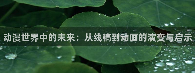 91动漫网页：动漫世界中的未来：从线稿到动画的演变与启示